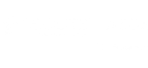 Grupo Scout 399